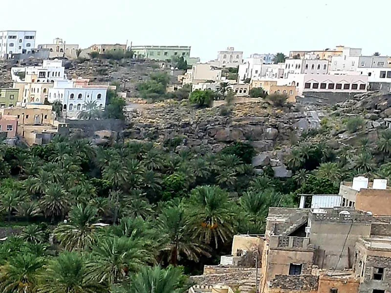 Традиционные дома в исторической деревне Мисфат аль-Абрийин.